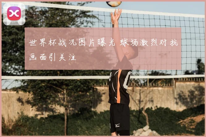 世界杯战况图片曝光 球场激烈对抗画面引关注