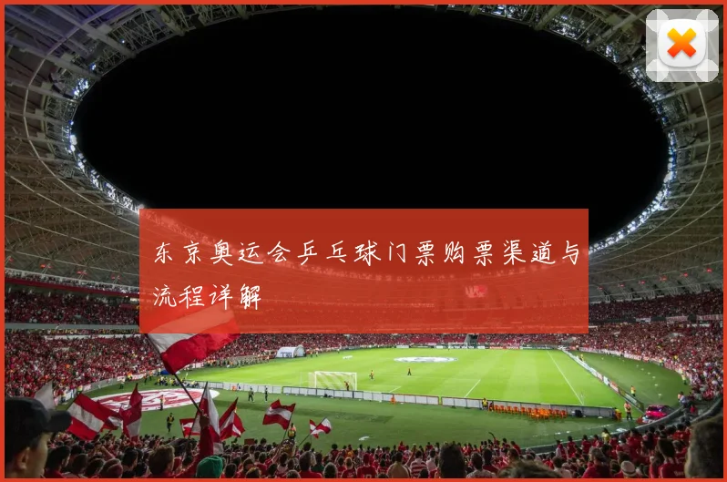 东京奥运会乒乓球门票购票渠道与流程详解