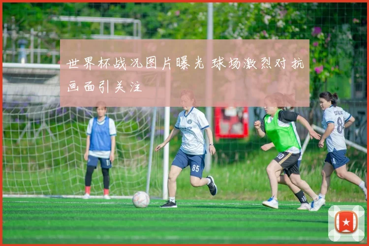 世界杯战况图片曝光 球场激烈对抗画面引关注