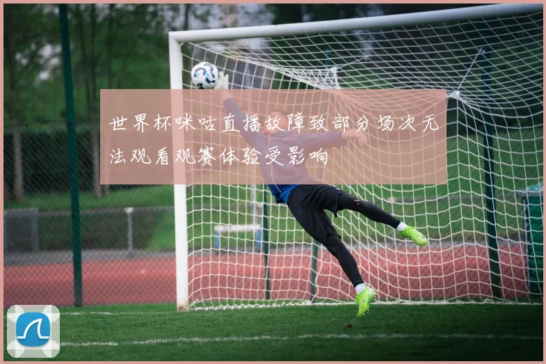 世界杯咪咕直播故障致部分场次无法观看观赛体验受影响