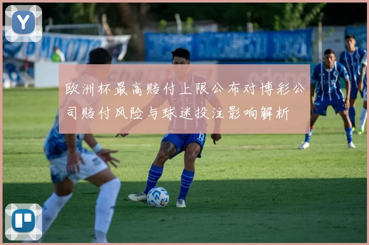 欧洲杯最高赔付上限公布对博彩公司赔付风险与球迷投注影响解析