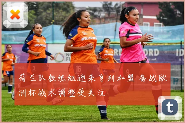 荷兰队教练组迎来亨利加盟 备战欧洲杯战术调整受关注